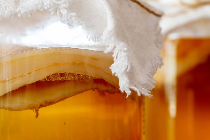Kombucha