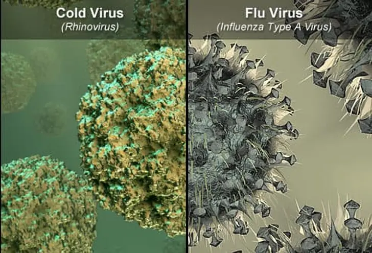 Cold vs. the Flu: Does It Matter? Cold vs. the Flu: Does It Matter?