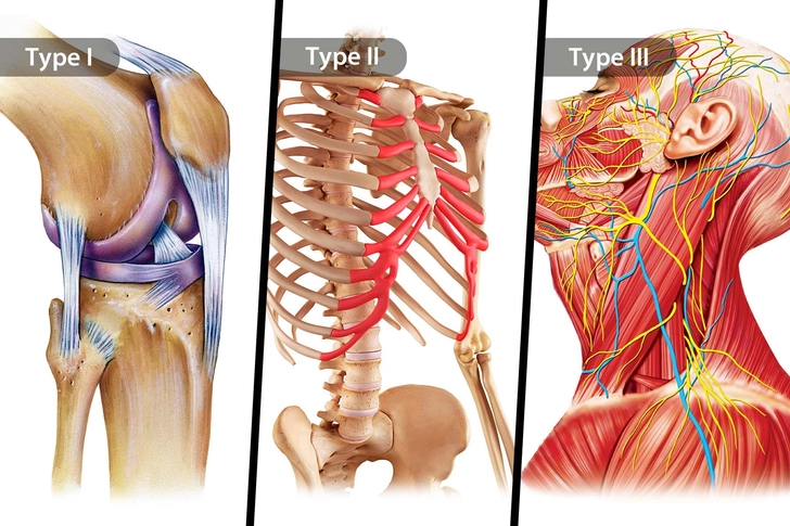 Types of Collagen