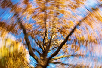 Feeling Dizzy or Lightheaded Feeling Dizzy or Lightheaded