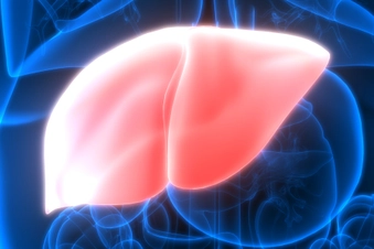 Changes In Liver Function Changes In Liver Function