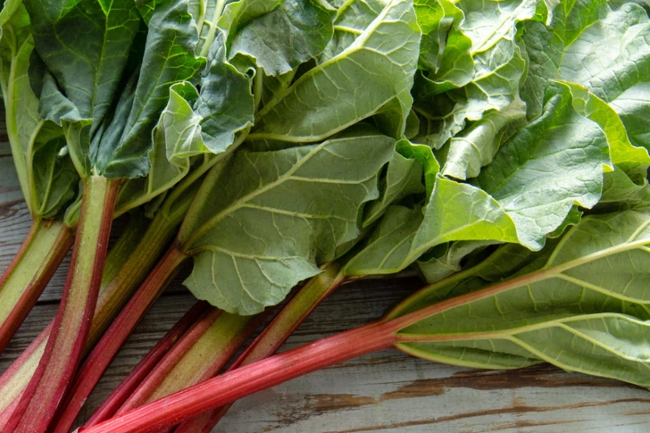 Rhubarb Leaves