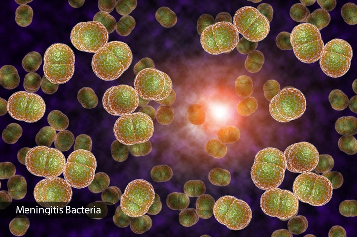 Infection Infection