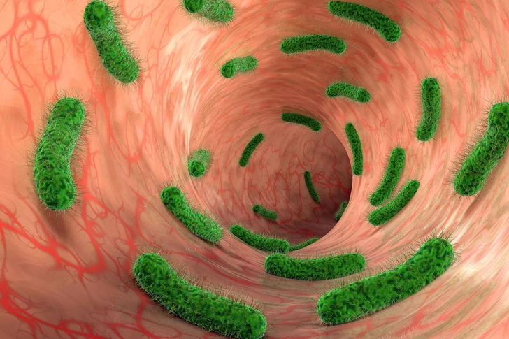 Urinary Tract Infection (UTI) Urinary Tract Infection (UTI)