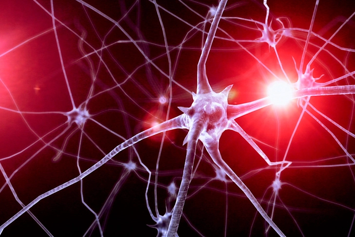 Neurological Conditions Neurological Conditions