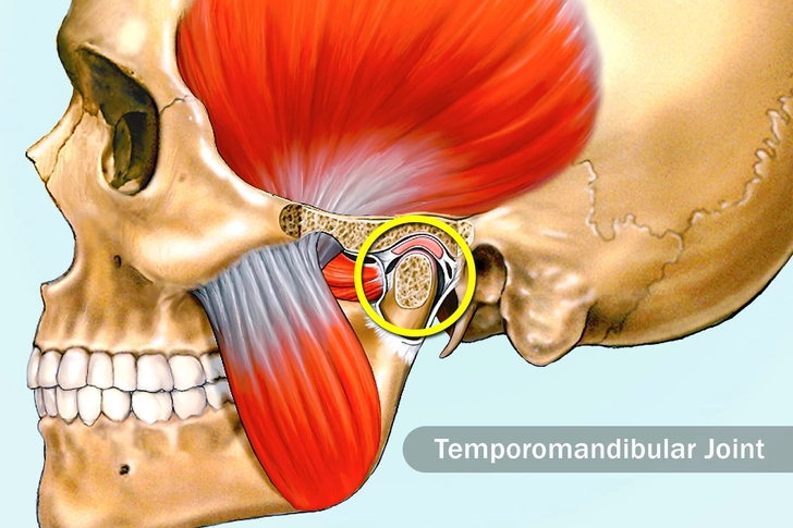 Your Jaw Is Jammed Your Jaw Is Jammed