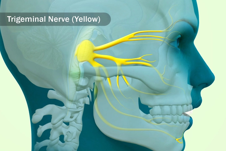 Nerve Damage