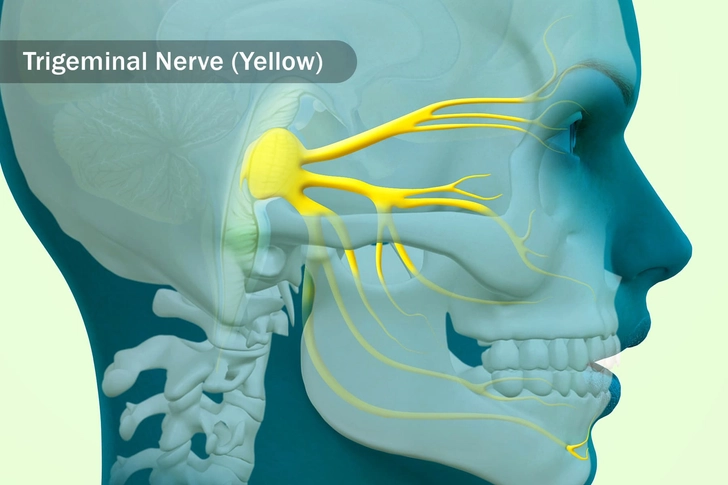 Nerve Damage Nerve Damage