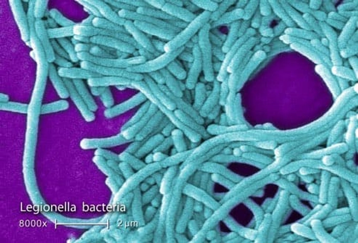 Treatment: Antibiotics