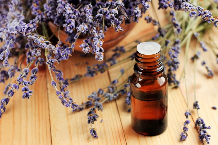 Scents and Sleep
