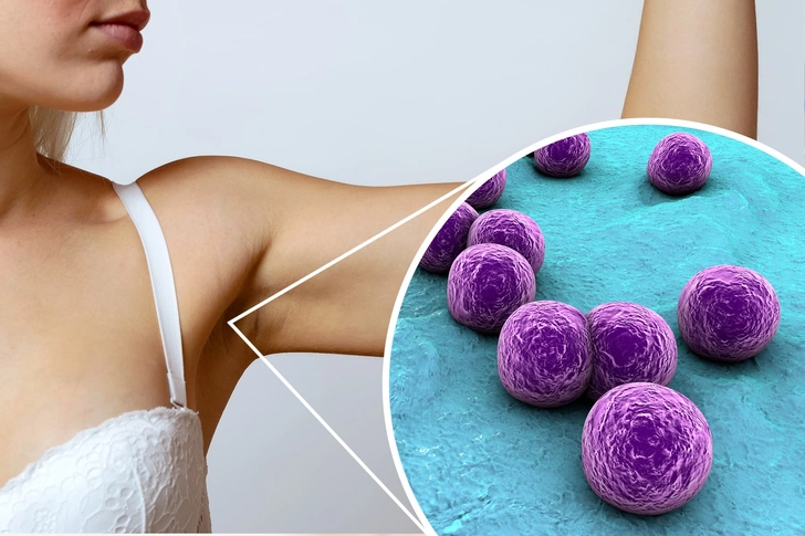 Armpit Microbiome