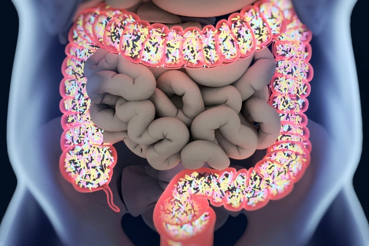 Gut Microbiome