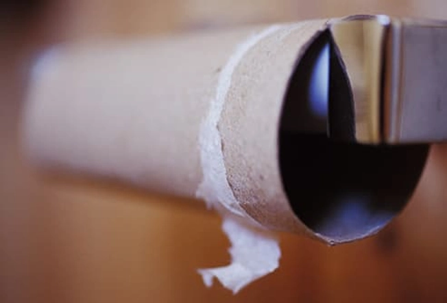Toilet Paper or Tissue