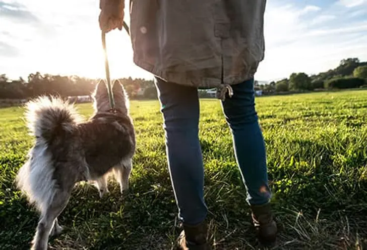 Go for a Walk