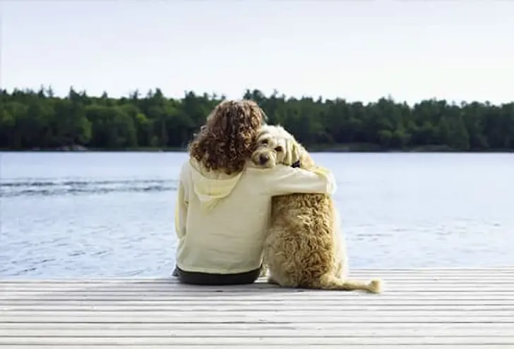 Let Your Pet Nuzzle Blues Away Let Your Pet Nuzzle Blues Away