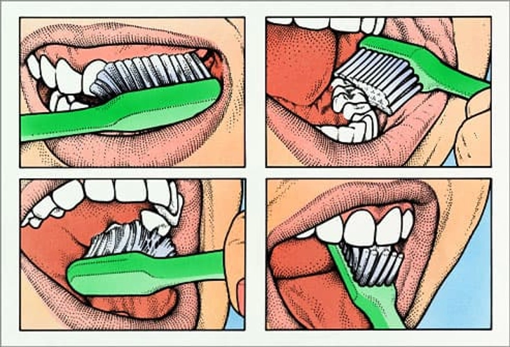 Brush Daily, Brush Right