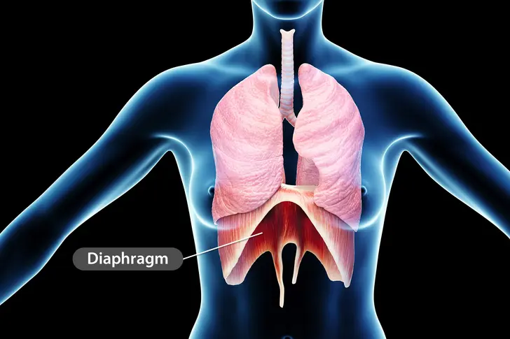 What Is Diaphragmatic Endometriosis?