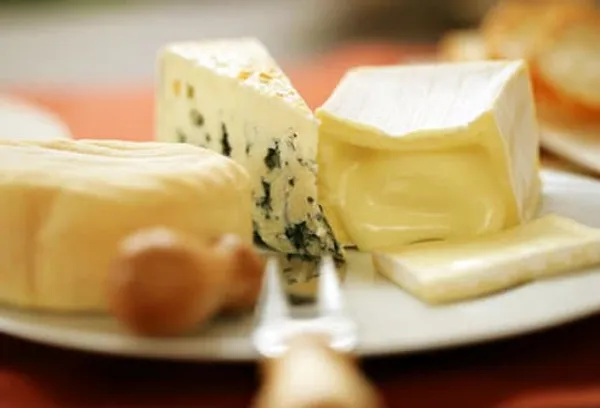 Close up of cheese slices and fork on plate