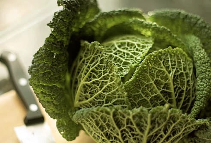 Cabbage and Its Cousins