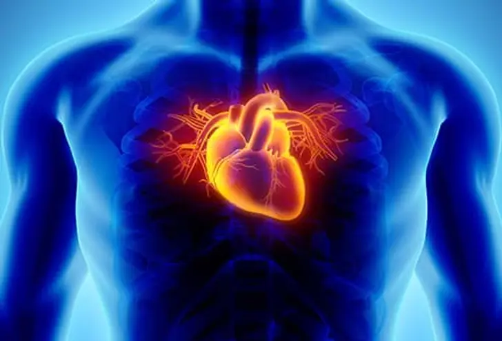 What Is Heart Disease?