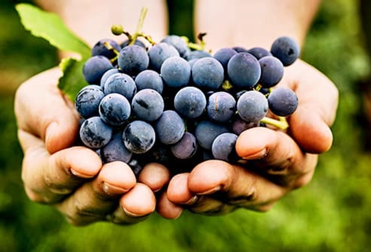 Grapes