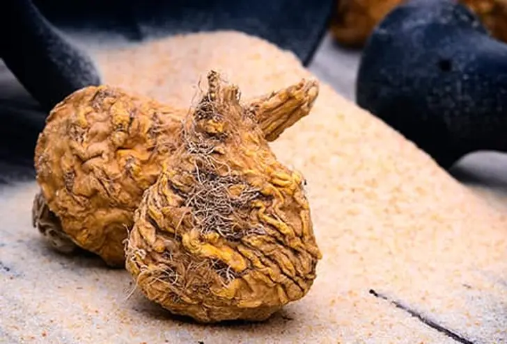 Nourishing, Nutty Maca