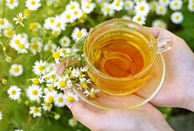 Chamomile: More Than a Soothing Tea