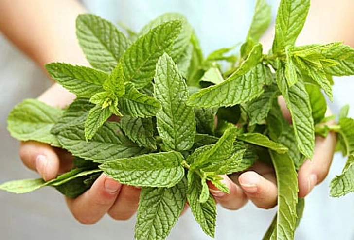 Peppermint Oil: To Ease IBS