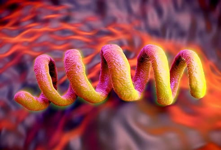 Syphilis and Chlamydia