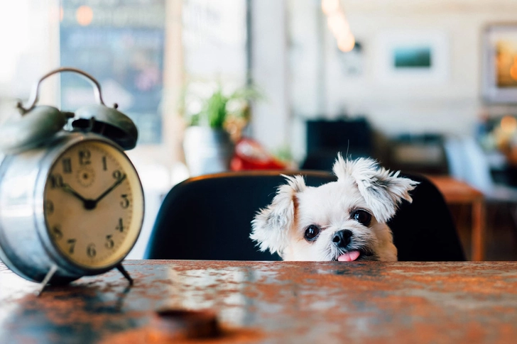 Your Friend Likes a Schedule Your Friend Likes a Schedule
