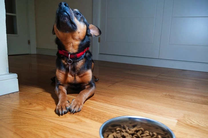 It’s Not a Big Deal to Skip a Meal