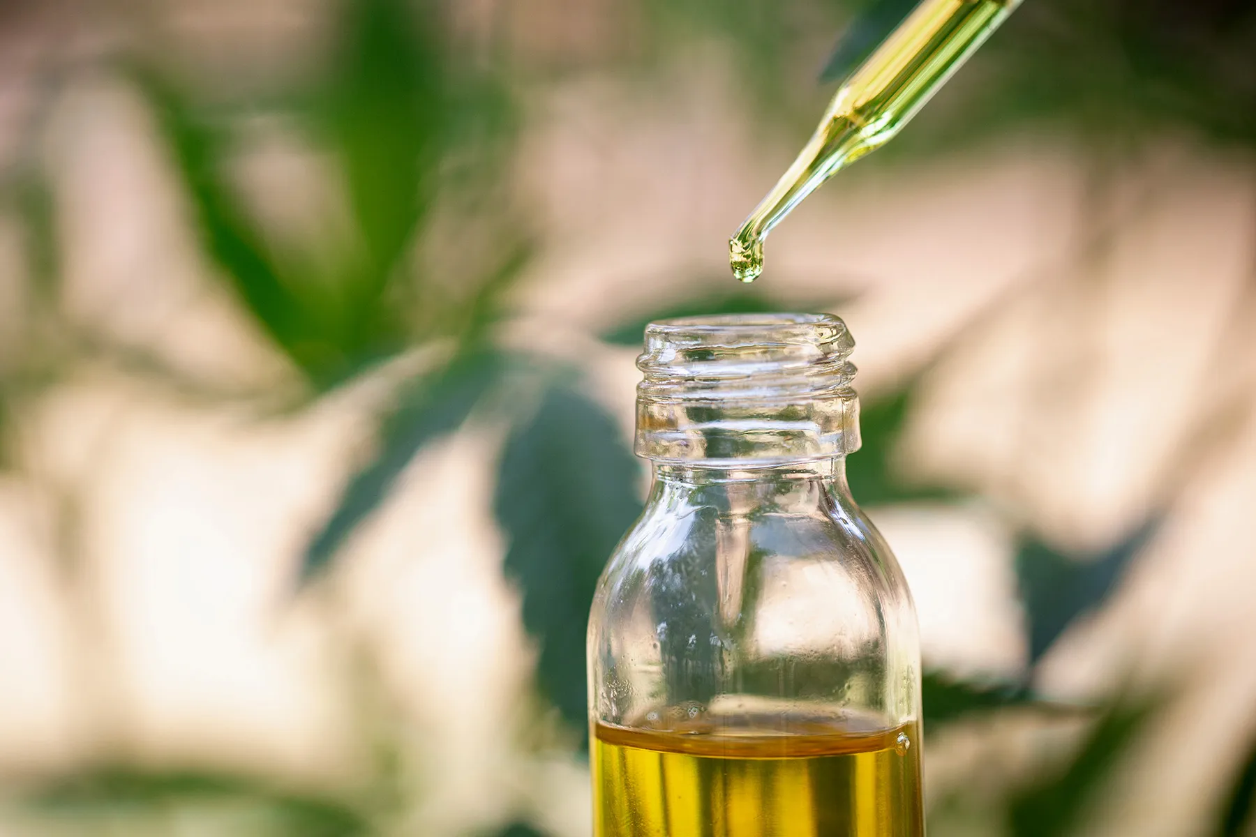 セール商品が満載 CBD vs CBN: What's the Difference? リラクゼーショングッズ