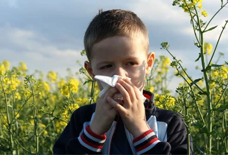 Allergies and Ear Infections Allergies and Ear Infections