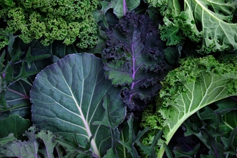 Choose Calcium-Rich Foods