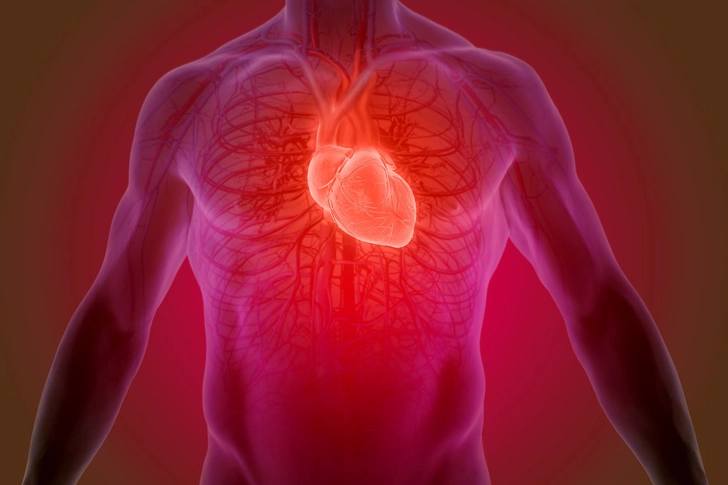 1 year: Heart Health