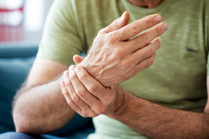 2 to 12 Weeks: Blood Circulation 2 to 12 Weeks: Blood Circulation
