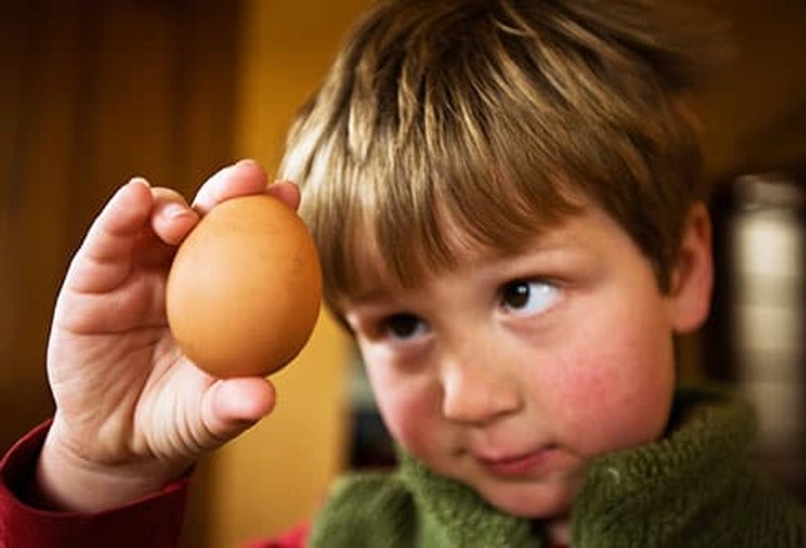 Egg-cellent Nutrition and Value Egg-cellent Nutrition and Value