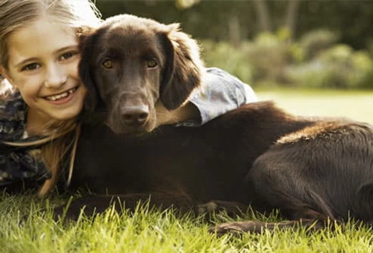 Seizure Dogs