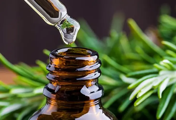 What Are Essential Oils?
