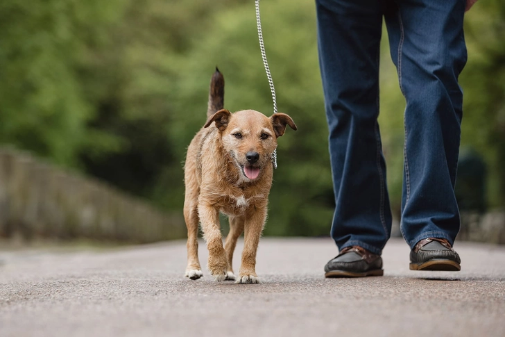 Go for a Stroll Go for a Stroll