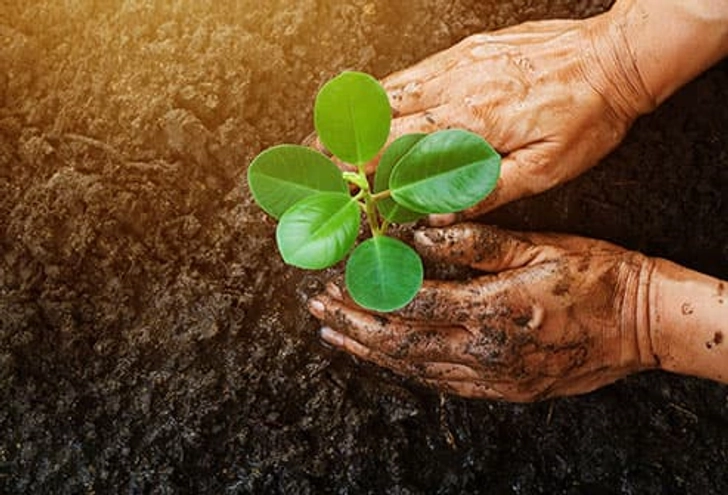 Gardening Gardening