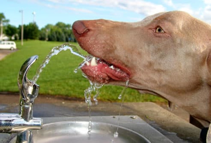Preventing Heat Exhaustion