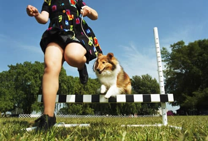 Agility Training