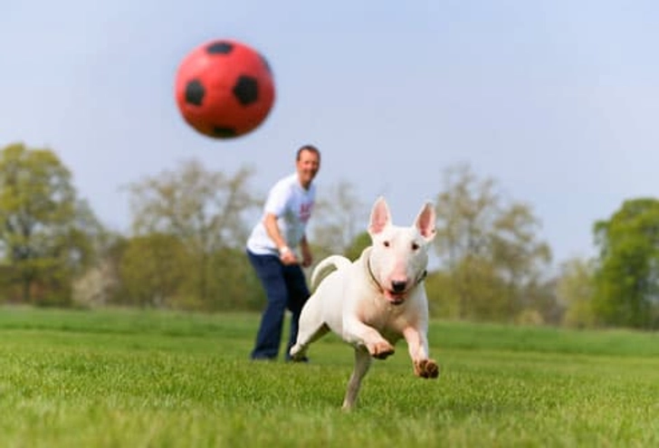 Soccer