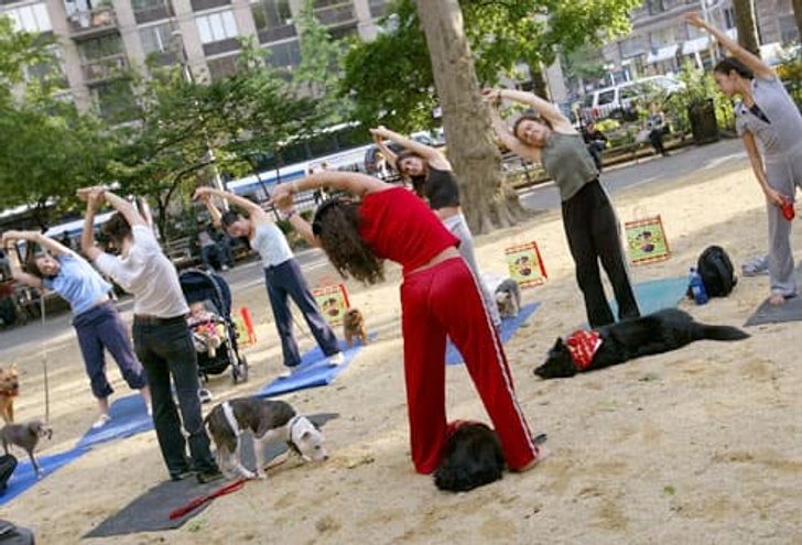Doga
