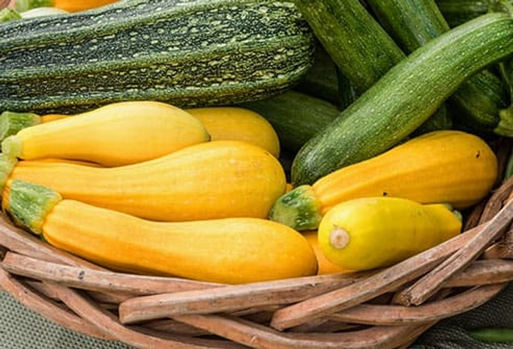 Squash