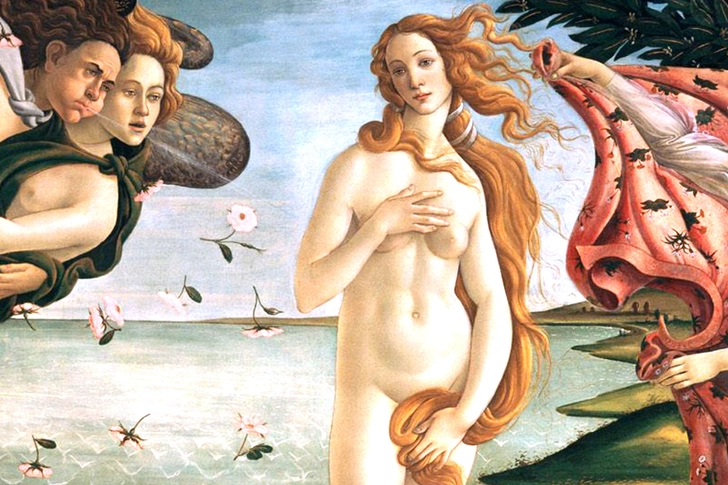 Botticelli’s Venus Botticelli’s Venus