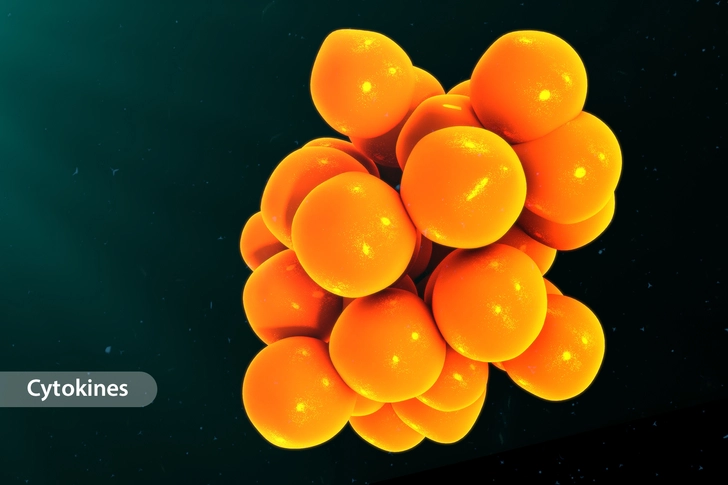 Ease Inflammation Ease Inflammation