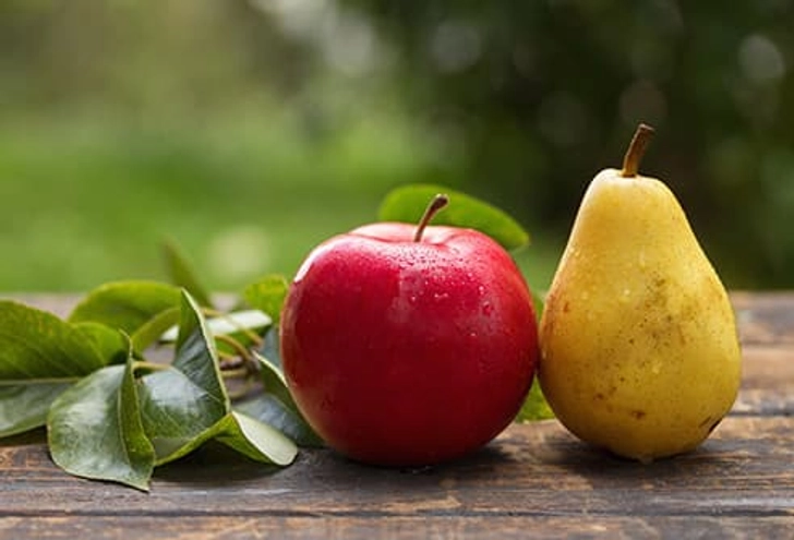 Pears and Apples Pears and Apples