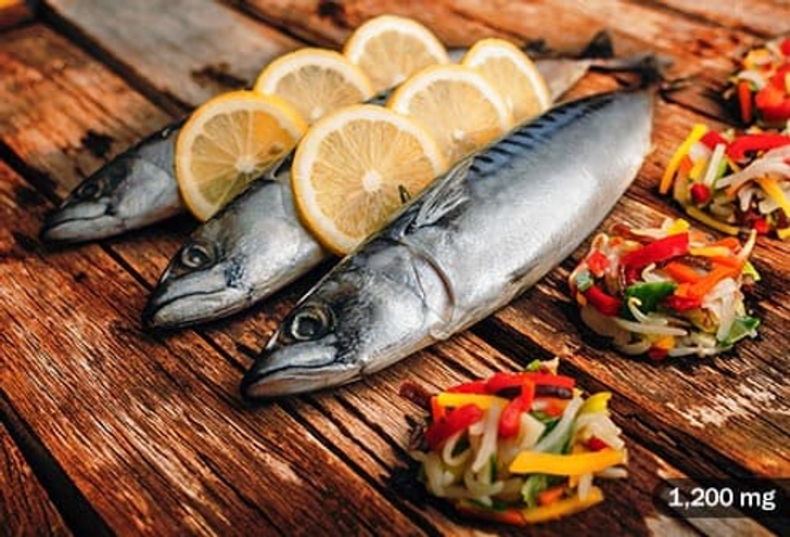 Atlantic Mackerel Atlantic Mackerel